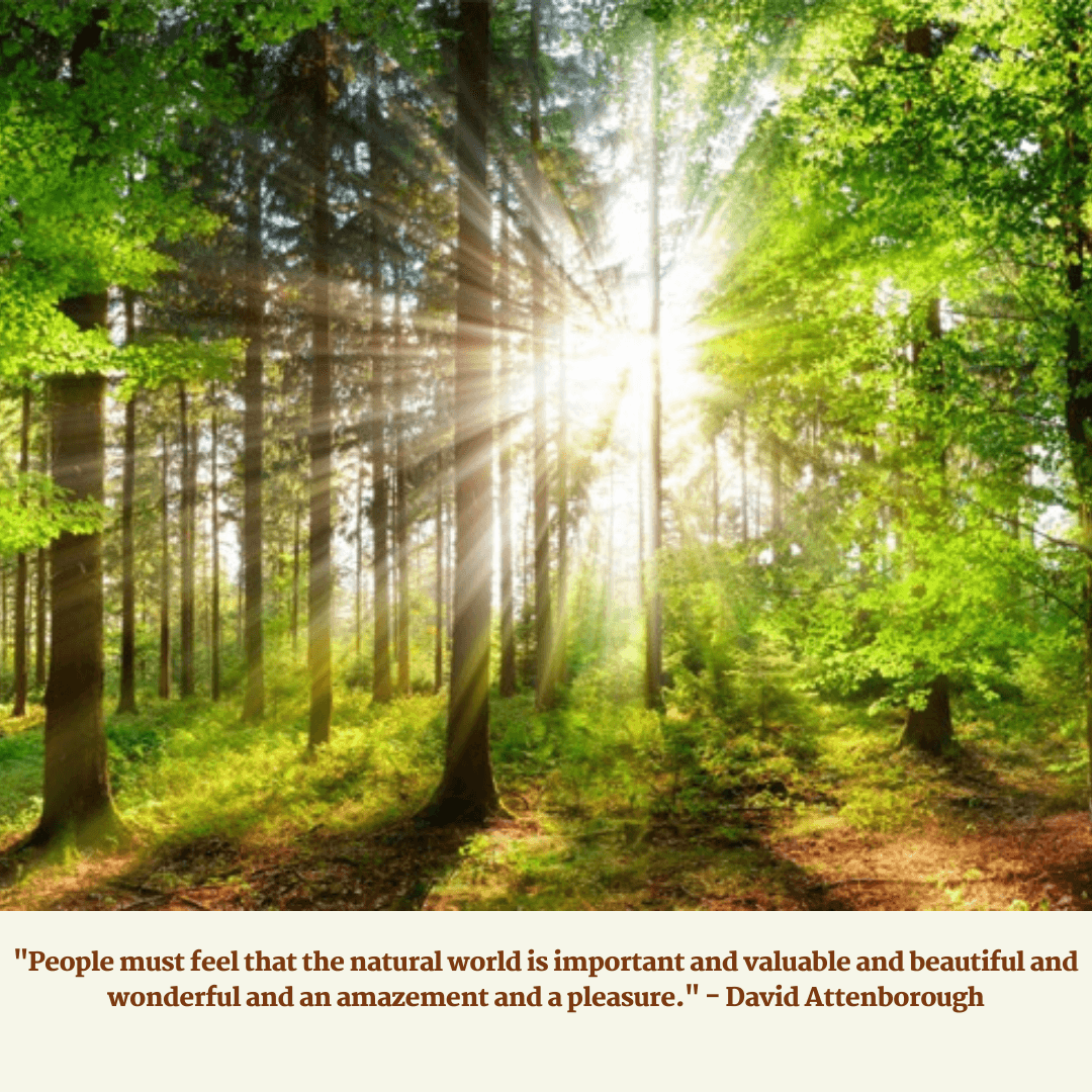 Solar- A Rapid Growing Renewable Energy Solar- A Rapid Growing Renewable Energy